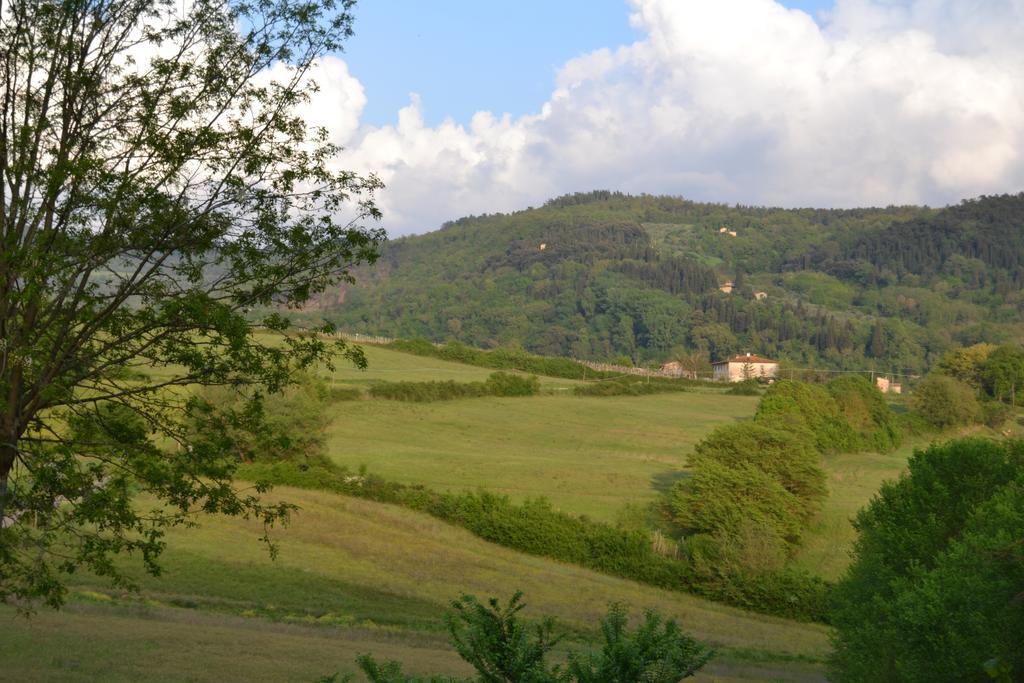 B&B Villa Il Poggiolino Molino del Piano ภายนอก รูปภาพ