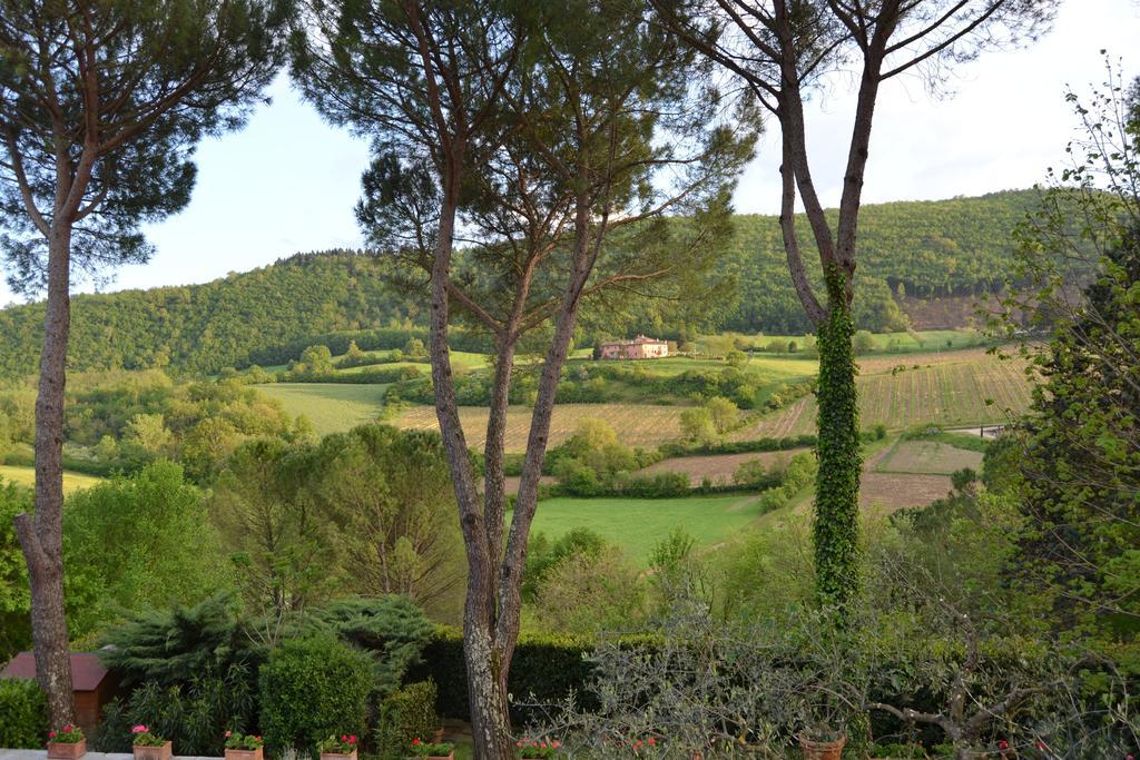 B&B Villa Il Poggiolino Molino del Piano ภายนอก รูปภาพ