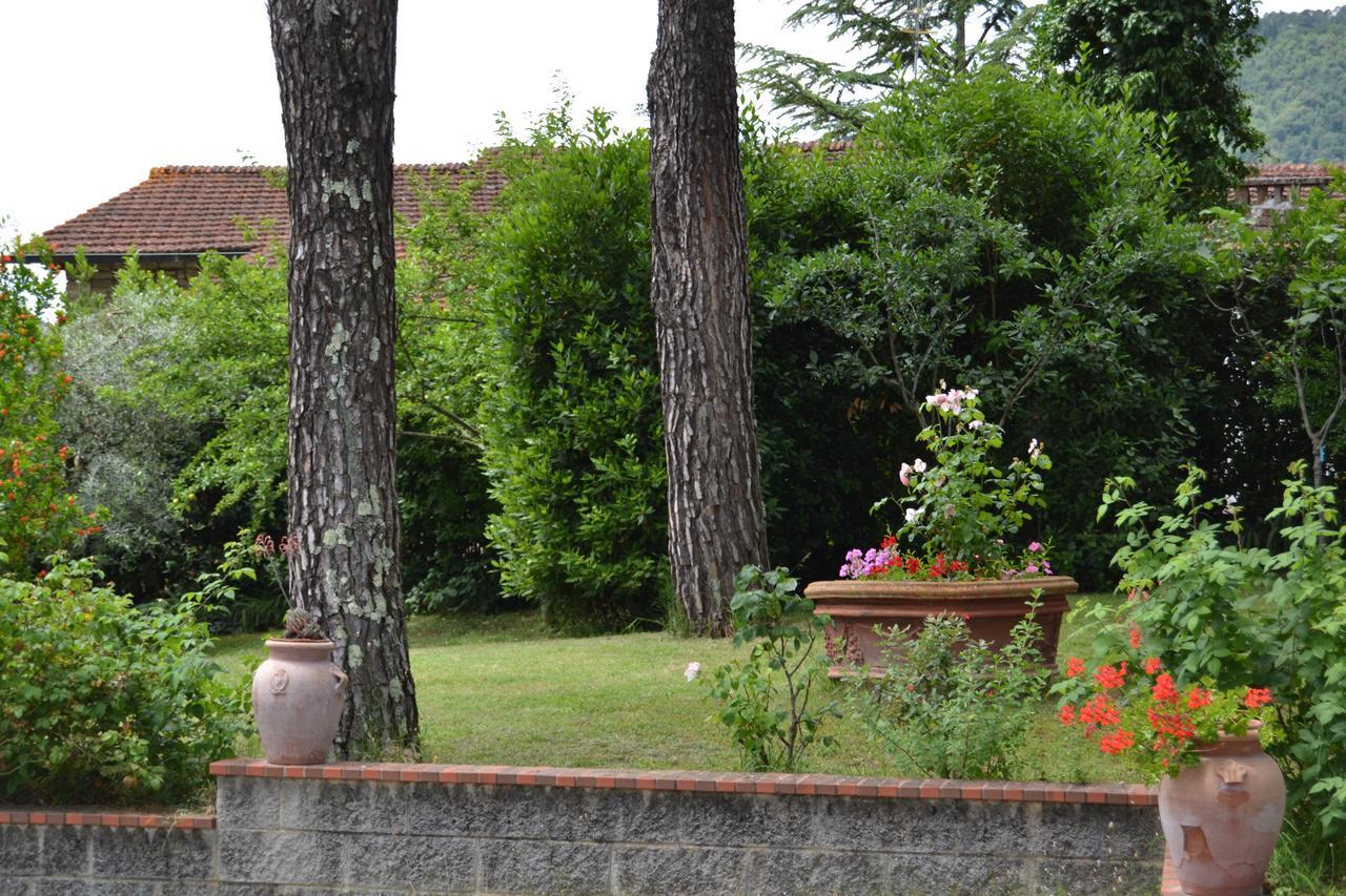 B&B Villa Il Poggiolino Molino del Piano ภายนอก รูปภาพ